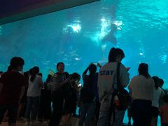 -福州罗源湾海洋世界旅游区