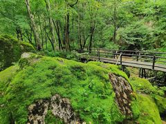 -茅兰沟国家森林公园