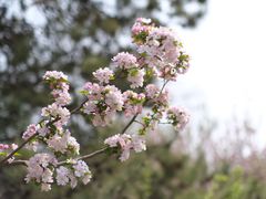 -海棠花溪(元大都城垣遗址公园)