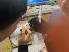-全心全意连锁动物医院(石景山店)