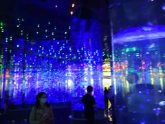 -石家庄海洋公园