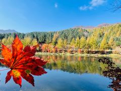 -丹东天桥沟景区