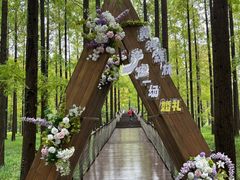 -黄海国家森林公园