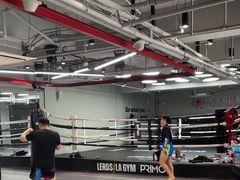 -花环泰拳·勒德斯拉泰拳馆(静安店)