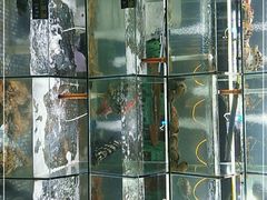 -海之鲜大排档(东山海鲜金銮湾店)