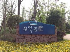 -白鹭湾湿地公园