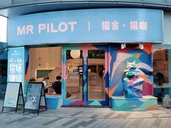 门面-飞行喵MR PILOT|猫舍·猫咖(静安大融城店)
