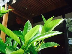 -美丽心情蛋糕(江苏路店)