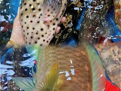 -四川小胡子海鲜(丁村万人海鲜广场店)