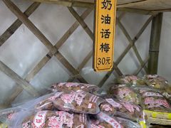 -苏州市吴中区光福窑上花果蜜饯厂