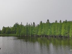 -白鹭湾湿地公园