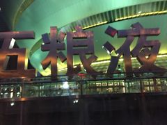 -成都金融城演艺中心