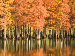 -白鹭湾湿地公园