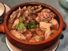 气锅羊肉-沙龙酒家