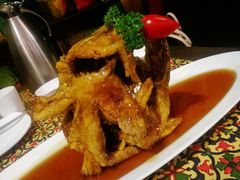 糖醋鲤鱼-城南往事济南风味主题餐厅(东环店)