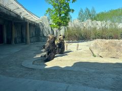 -齐齐哈尔龙沙动植物园