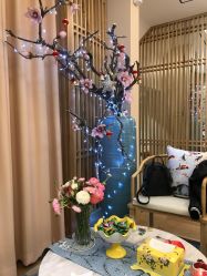 -一本X目奈子日式单根美睫专业店