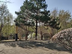 -长影世纪城