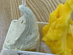 -野人先生Gelato(上海长宁龙之梦店)