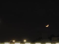 -陈根记大牌档