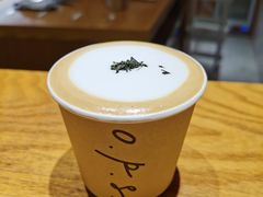 pillow-O.P.S. CAFE