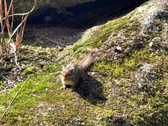 -三清山希尔顿度假酒店