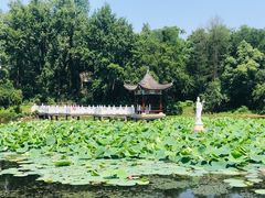 -青龙山国家森林公园