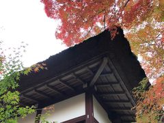 -常寂光寺