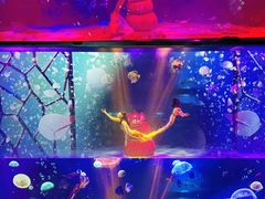 -顺德南宏海立方海洋公园