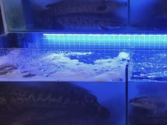 -江南鱼捞(北仑银泰城店)