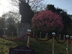 -常德桃花源景区