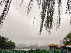 -济南大明湖景区