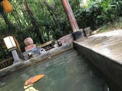 -西安国际创新人才交流中心•药浴温泉