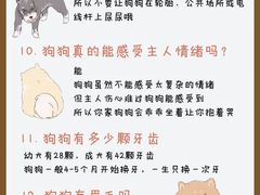 -瑞鹏宠物医院·骨外科·心肾科·肿瘤科(九亭店)