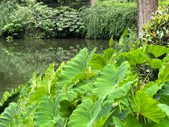 -杭州花家山庄