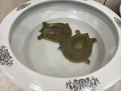 -龙泽园私房菜·地道南京味 ·招牌大鱼头(油坊桥店)