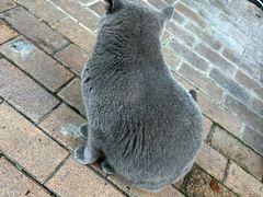 -1点点(万达茂店)