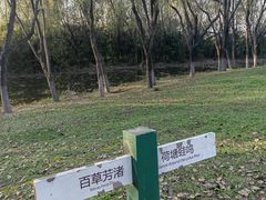 -西安浐灞国家湿地公园