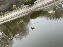 -北京世界公园