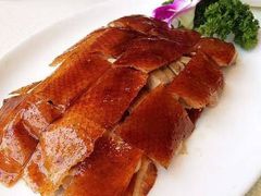 -半岛公馆(淞兴西路店)