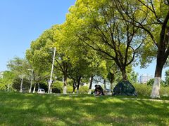 -九里河湿地公园