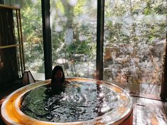 -春晖园度假酒店温泉