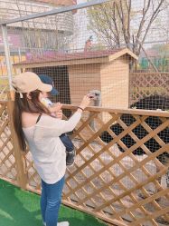 点击看大图 -萌宠亲子动物乐园(槐房万达店)