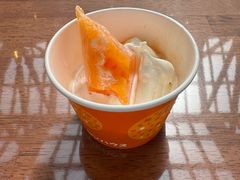 -富田农场