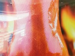 精品烤鸭-紫光园(顺义店)