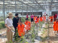 -上海市白玉兰幼儿园