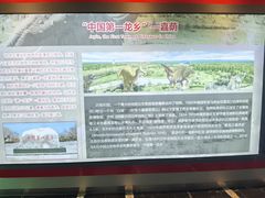-嘉荫恐龙国家地质公园
