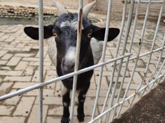 -武汉紫薇都市田园