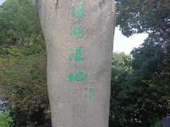 -溱湖国家湿地公园