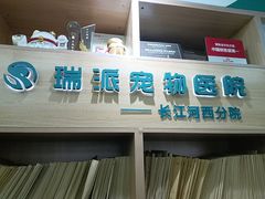 -瑞派长江宠物医院·猫科·外科·24小时夜护(谊城公寓分院)